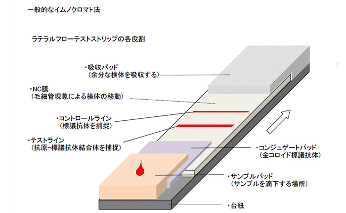 イムノクロマト法 / 生産工程