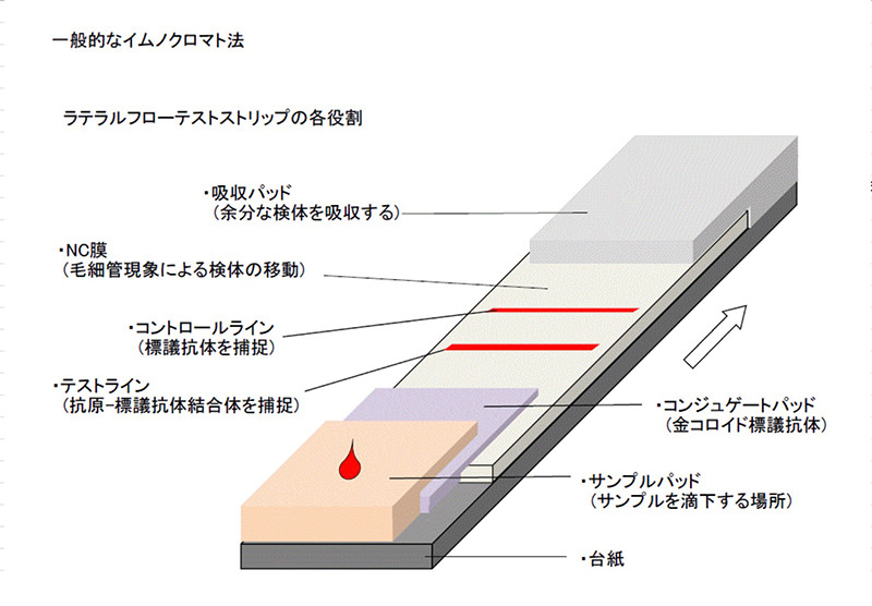 イムノクロマト法 / 生産工程